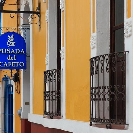 Posada Del Cafeto Xalapa Esterno foto